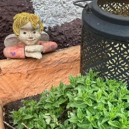 Schoener Rheingau Appartement *