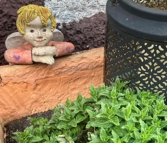 Schoener Rheingau Apartman *